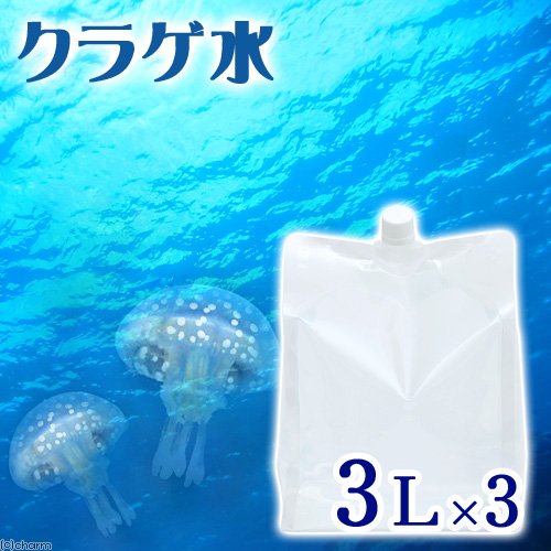 Amazon | （海水魚）足し水くん 天然海水「クラゲ水」（海洋深層
